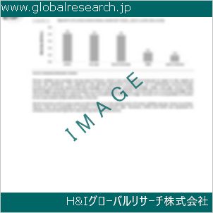 グローバルリサーチ調査資料のイメージ